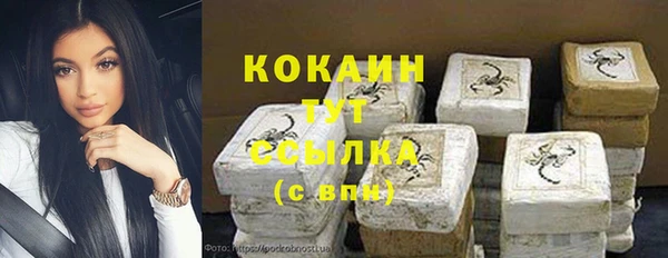 гашик Богородск