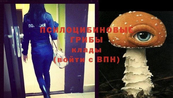 a pvp Белоозёрский