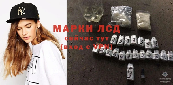 гашик Богородск