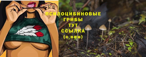 дмт Беломорск